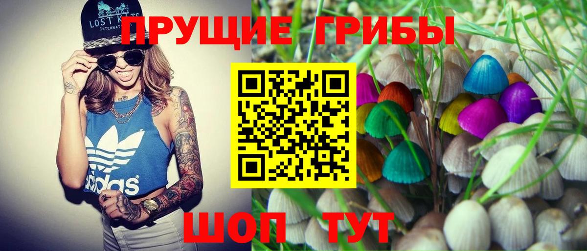 Галлюциногенные грибы мицелий Омск