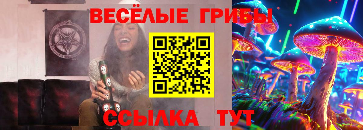 Омск  Галлюциногенные грибы Psilocybe  Вход с VPN 